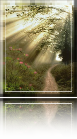 Der Weg ist das Ziel...
